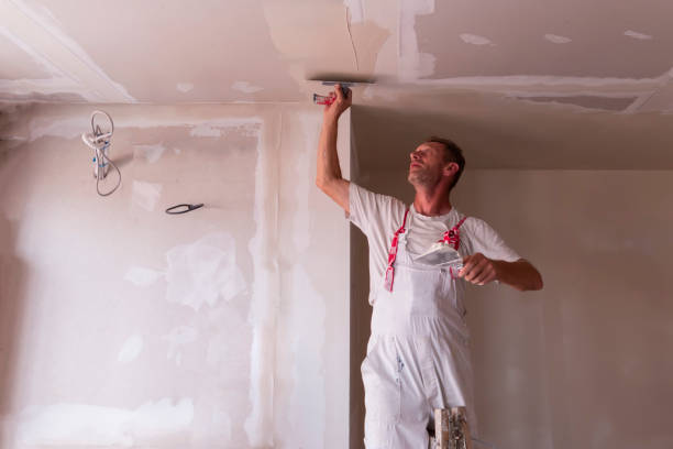 Best Ceiling Drywall Installation  in Cambria, IL